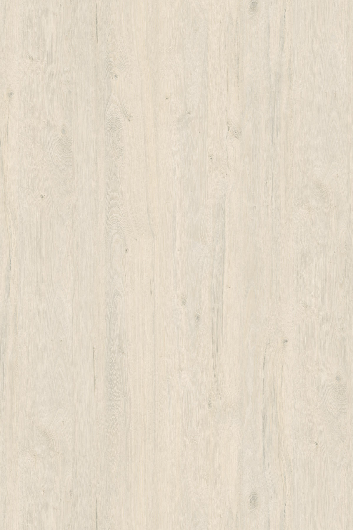 Fehér partvidéki tölgy Bútorlap 2800x2070x18mm K080PW Kronospan ÚJ!